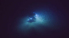 遠隔操作無人探査機（ROV）のダイビングの様子。