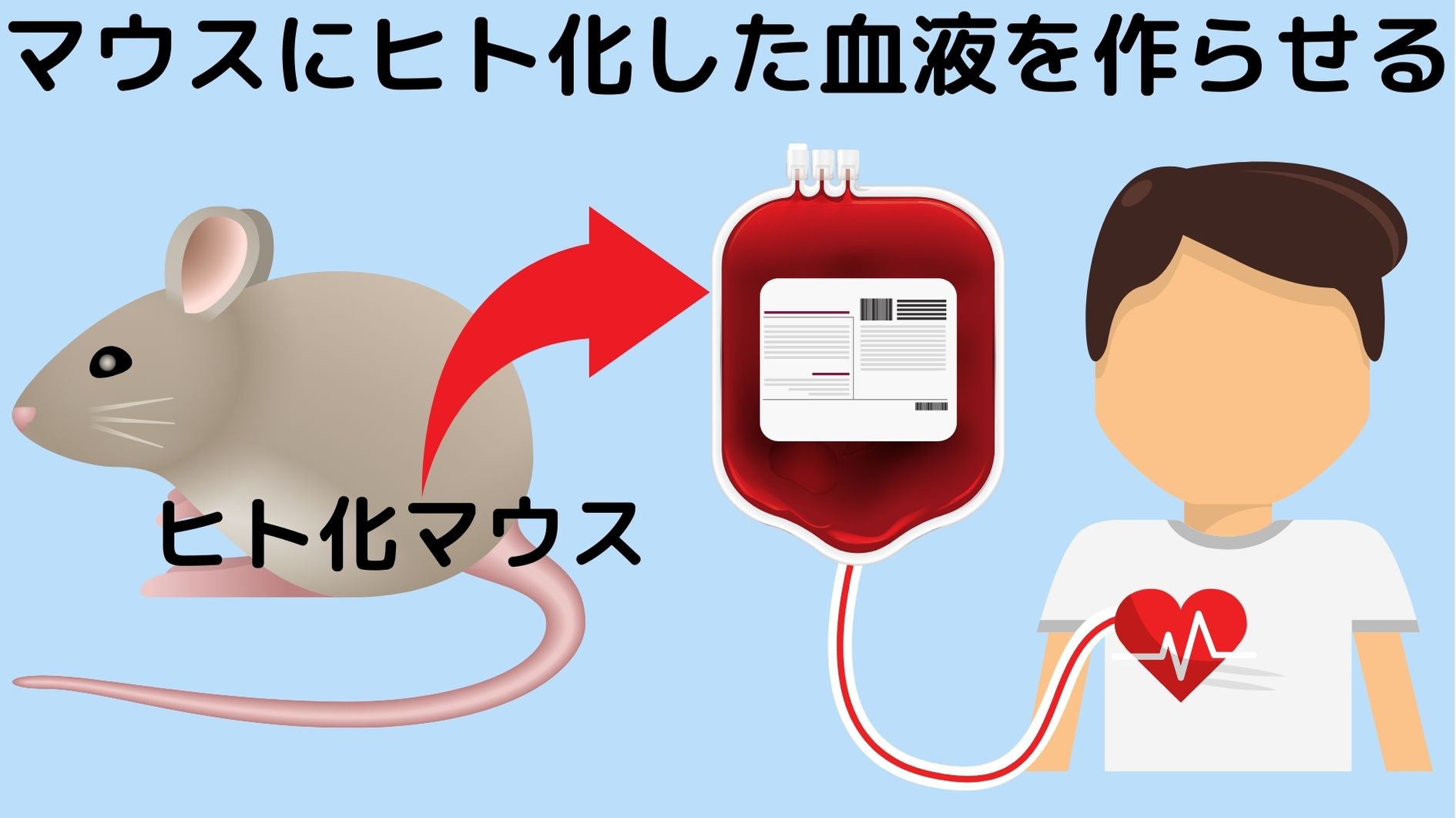 動物の血液のヒト化は医療に革命を起こす