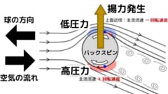 バックスピンする球体は上方向の揚力を得る