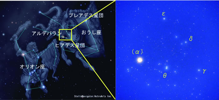 おうし座の頭を形成するヒアデス星団。もっとも明るいαで示される星はアルデバランで、星団のメンバーではありません。