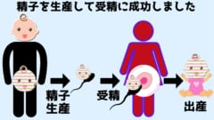 消えたはずの兄弟の細胞が精子を作った結果、サムの妻はサムの兄弟の子供を出産した