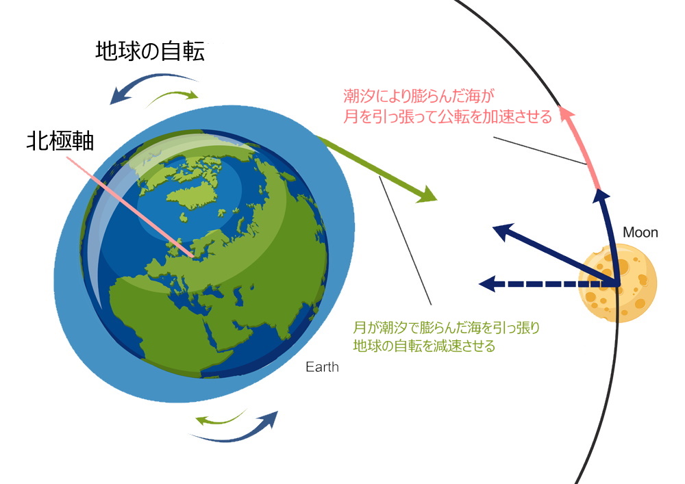 地球の海の膨らみと月が繋がっているとイメージすると、両者の自転公転速度の差による影響がわかる。