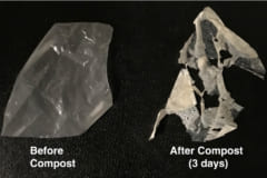 新しいプラスチックはわずか3日で、堆肥化される