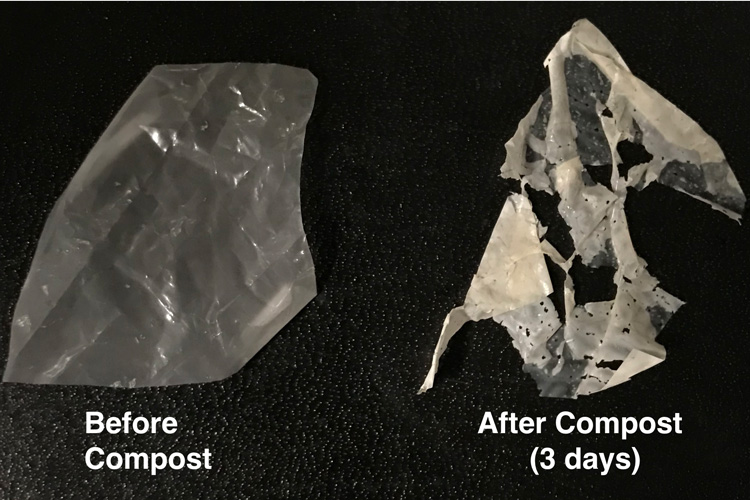 ポリエステルを食べる酵素が入ったプラスチック、水と熱だけで分解できる?!