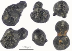 発見された地球外微粒子の顕微鏡写真。