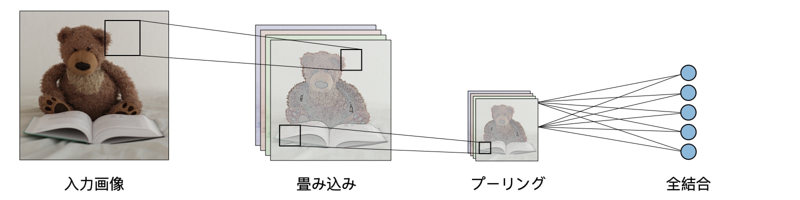 伝統的な畳み込みニューラルネットワークのアーキテクチャ