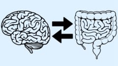 孤独感や賢さは腸内細菌叢の多様性と関係があると判明！