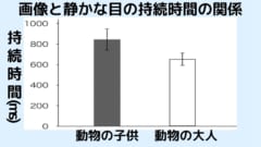 かわいい動物の子供の画像を見ると「静かな目」の持続時間が伸びる（中央値）