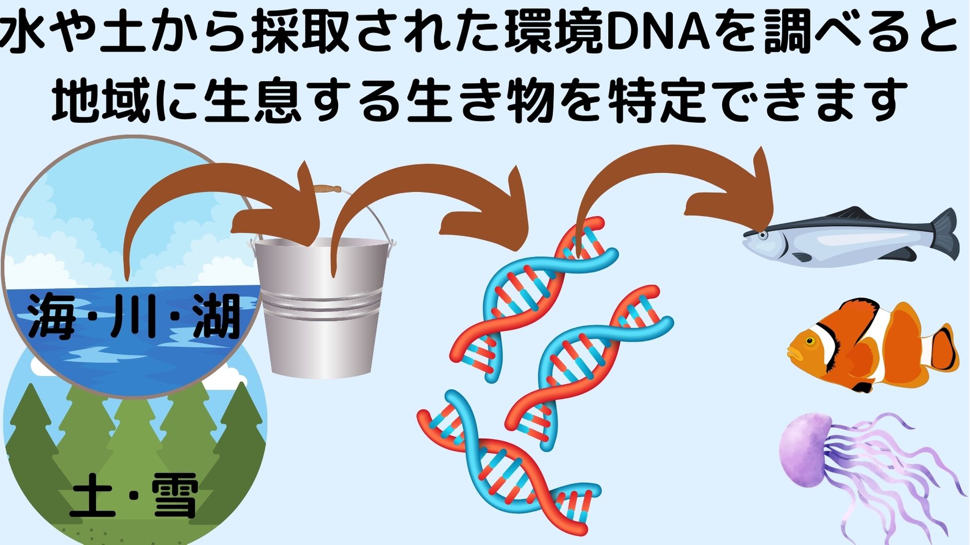 土壌や水中から環境DNAを取り出せるようになってきた