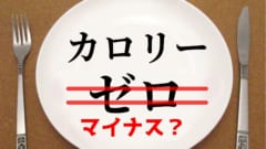 セロリは本当に「マイナスカロリー」食品なのか？