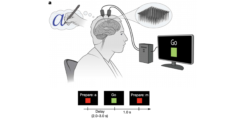 脳に埋めた電極と思考で、文字入力できる技術が誕生