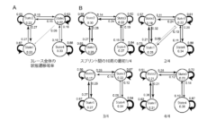 観察した3つの競技の状態遷移確率 (A) およびスプリント間の10周を4等分した区間での状態遷移確率 (B)