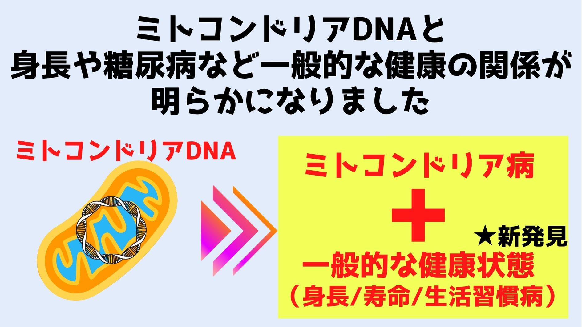 ミトコンドリアDNAは一般的な疾患に大きくかかわっていると判明