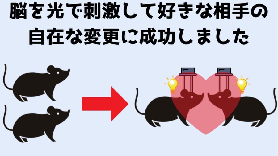 脳に刺したLEDで「友情」を遠隔操作する装置が開発！