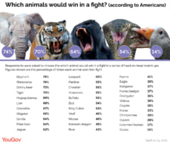 アメリカ人の思う「百獣の王ランキング」