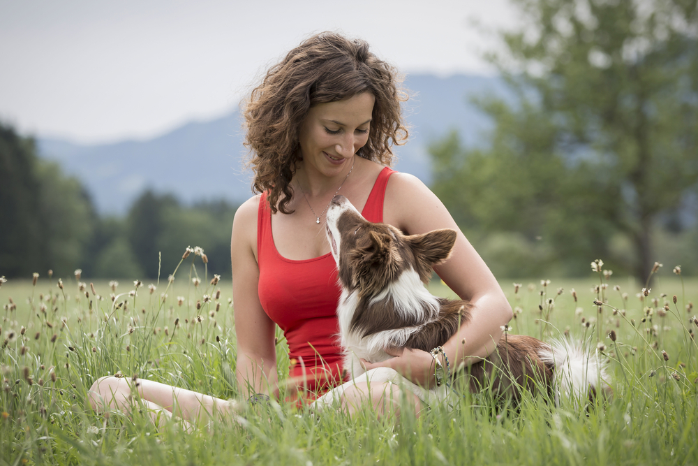 アイコンタクトが得意な犬がいる