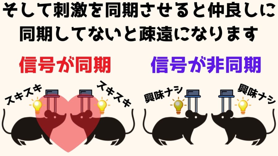 人間にも応用できれば社会関係で悩む必要のない「全員なかよし」の世界がやってくる