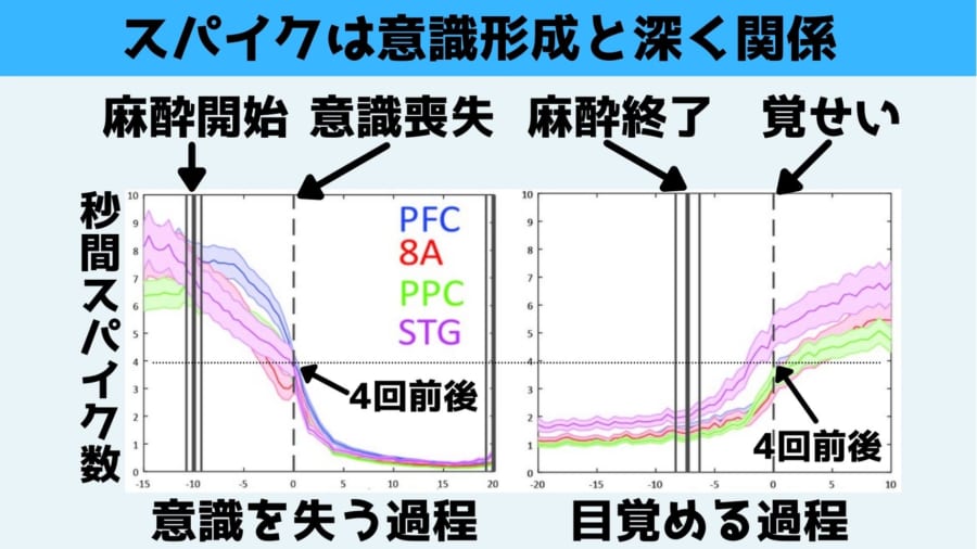 スパイクのような単純な電気信号が意識を保っている