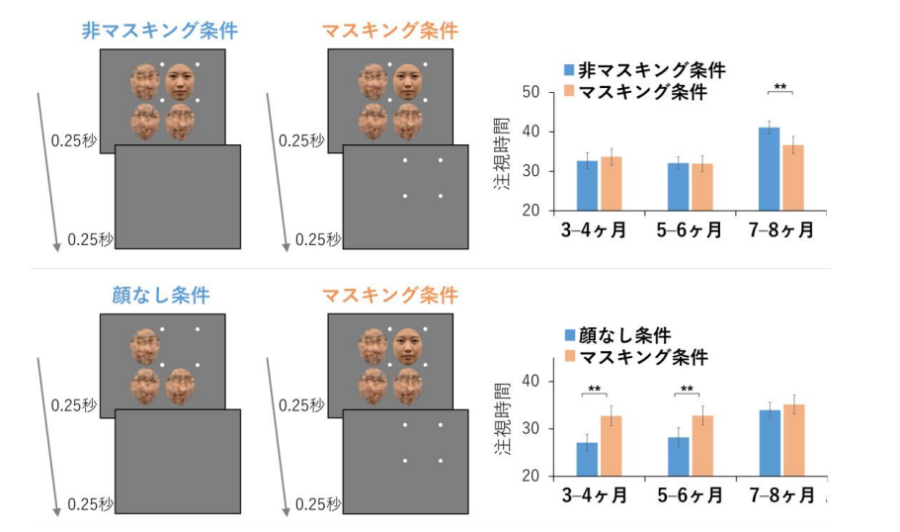 実験方法と結果