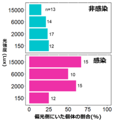 選択実験の結果