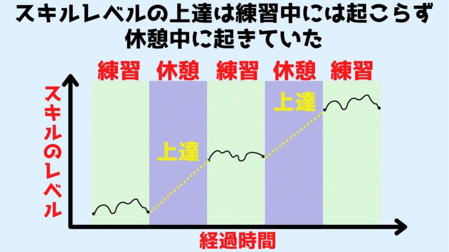 スキルレベルの上達は練習中にはほとんど起こらず、休憩中に起きていた