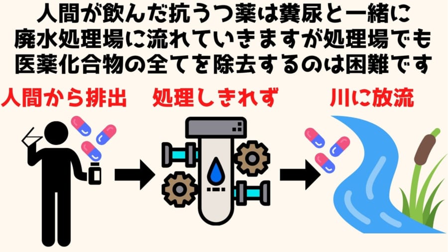 抗うつ薬の浄化は完全には行えない