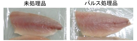 パルス処理品は刺身としての品質を保っている