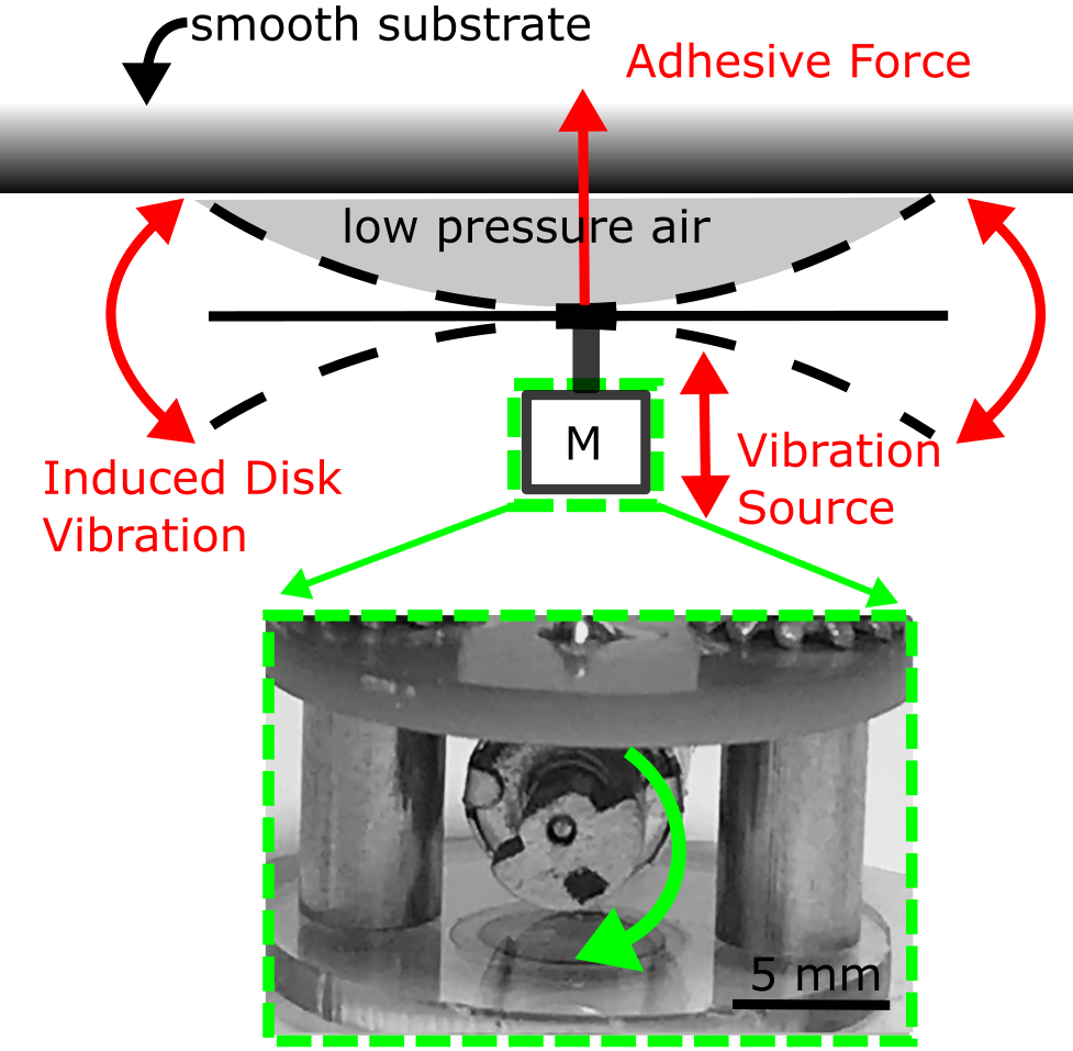 モーターが円盤を振動させ、壁と円盤の間の空気薄膜に負圧を発生させる