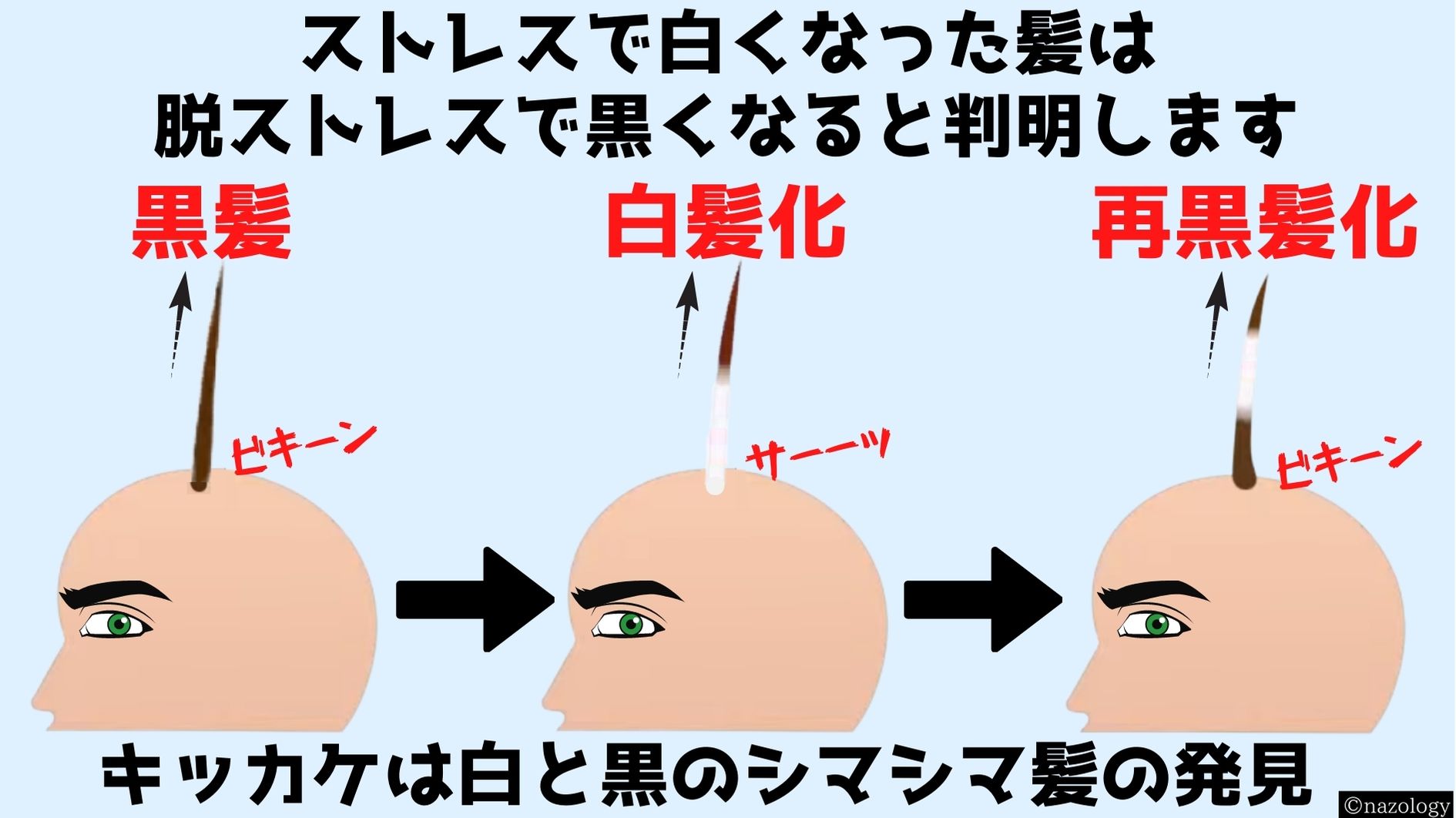 脱ストレスで「白髪は元に戻る」と明らかにの画像 2/8