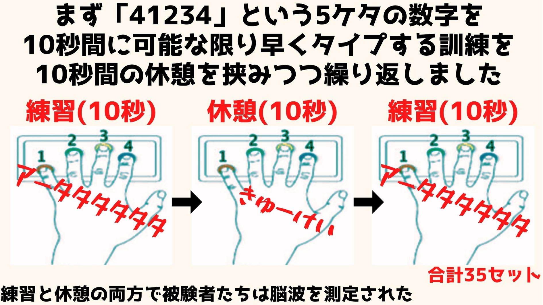 同じ数字の入力練習を行いつつ脳波を測定し、休憩中に脳内で何が起きているかを確かめた。図に用いた画像は本研究メンバーも参加した類似研究のもの