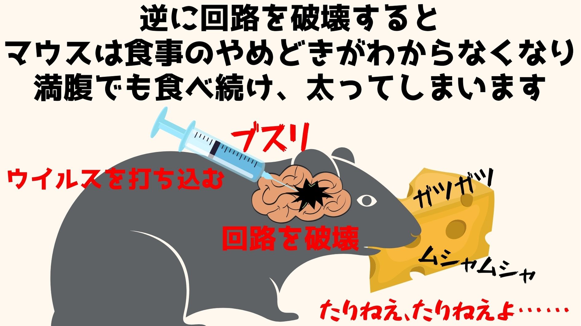 回路が破壊されると食事の「やめどき」がわからなくなる