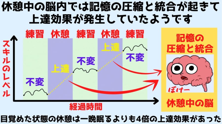 休憩中の脳内では複数の領域が超高速再生を行いつつ交信しあって、情報の圧縮と統合を行っている。この圧縮と統合こそが上達の本質と考えられる