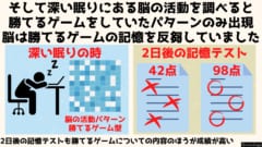 深い睡眠中、脳は報酬系を刺激される内容を独占的に反芻していた