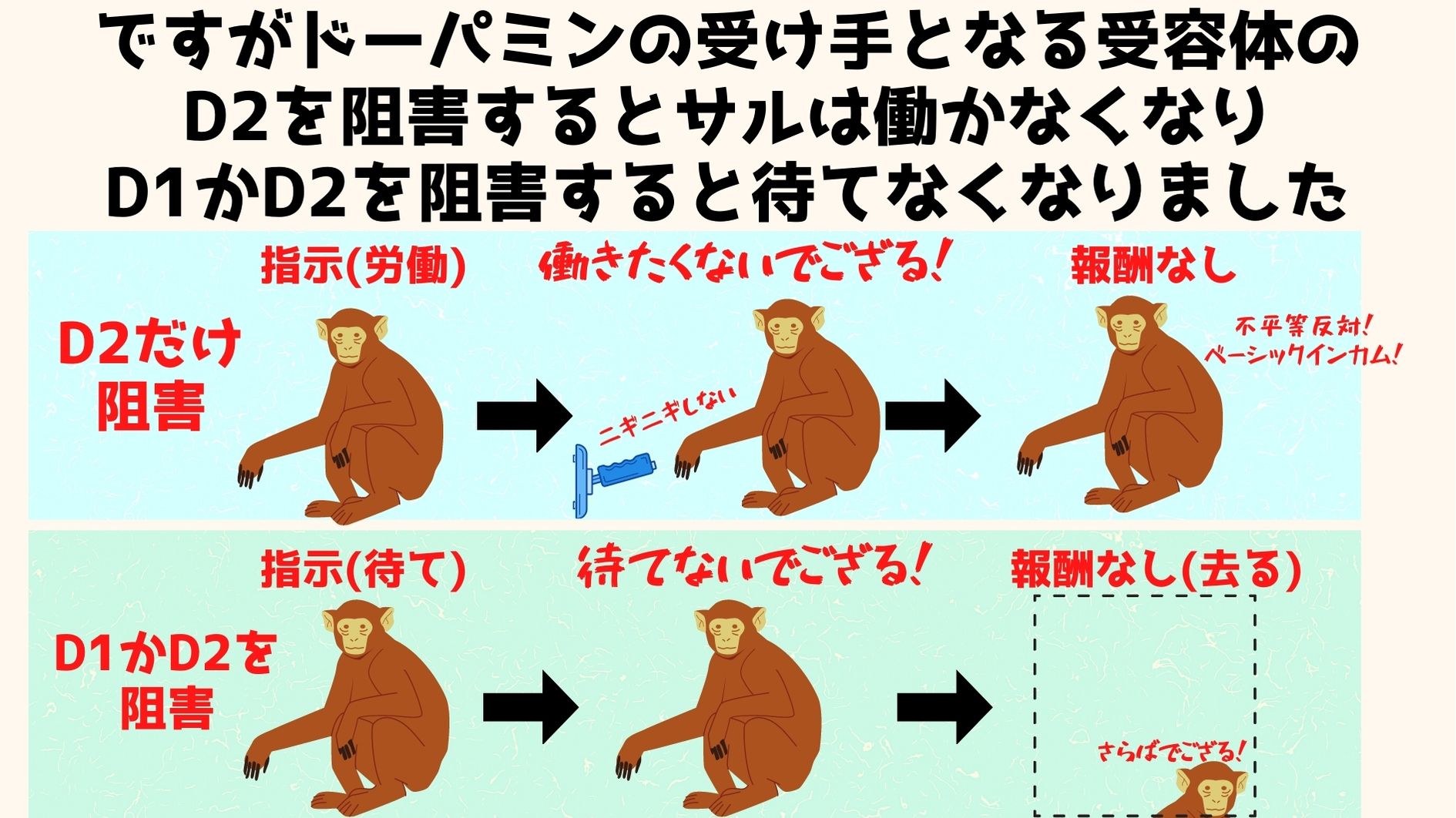 ヤル気にかかわるドーパミン受容体の阻害は、受容体の種類によって異なる結果となった