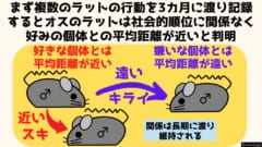 友情の測定には長期間にわたるマウスたちの位置情報が用いられ距離が算出された