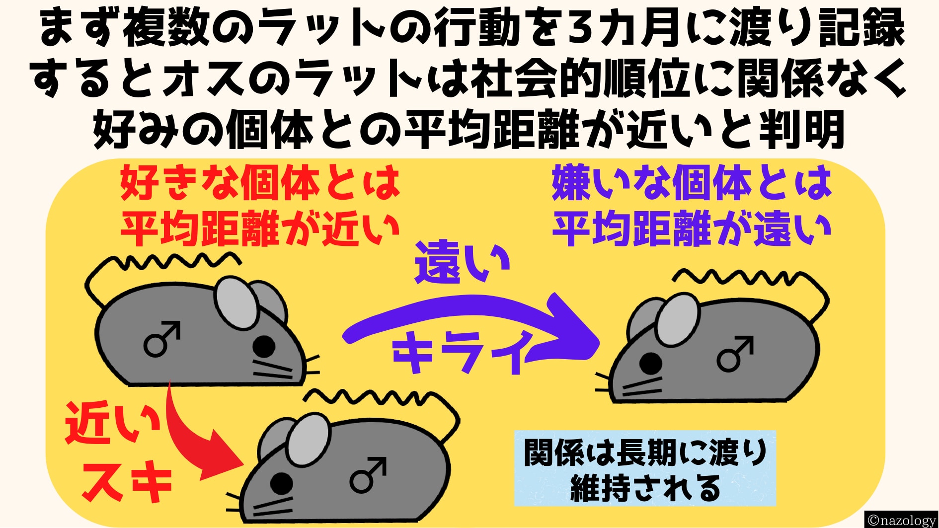 友情の測定には長期間にわたるマウスたちの位置情報が用いられ距離が算出された