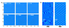 (a) ビスマス単原子膜で時間と共にチューリング・パターンが形成される様子 (b) 実験と理論の比較