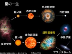 星の一生はその重さによって分岐する