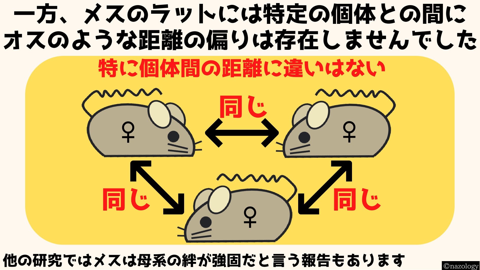 なぜか本研究においてはメスのラットでは距離の偏りが観測されなかった