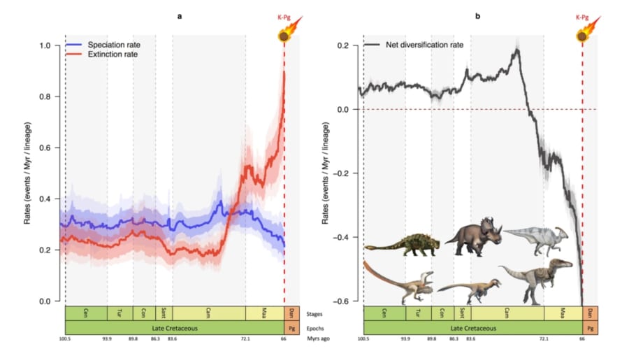 青が種分化率、赤が絶滅率（左）。種の多様性（右）。実践は平均値、実践は95%信頼区間（Cl）を示す。