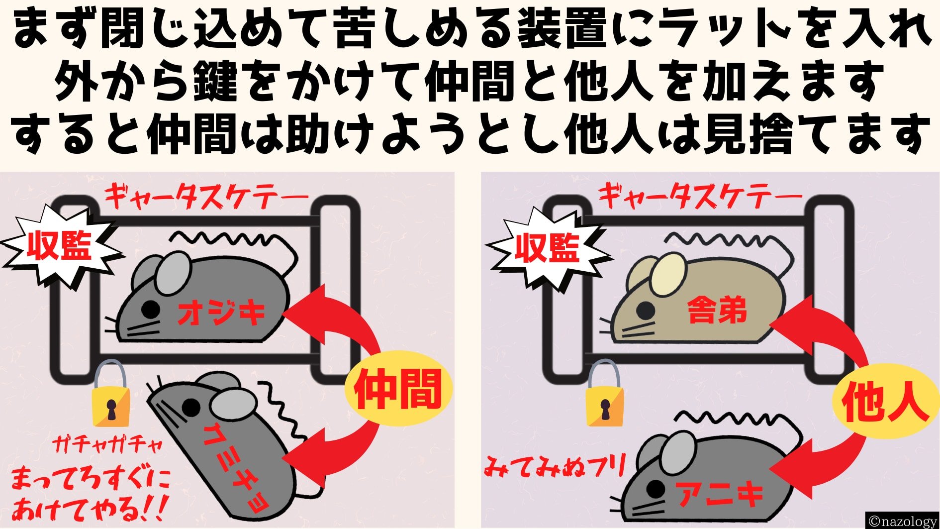 閉じ込められて苦しんでいるラットが同じグループに属する場合、ラットは積極的に助けようとするが、見知らぬマウスは助けない