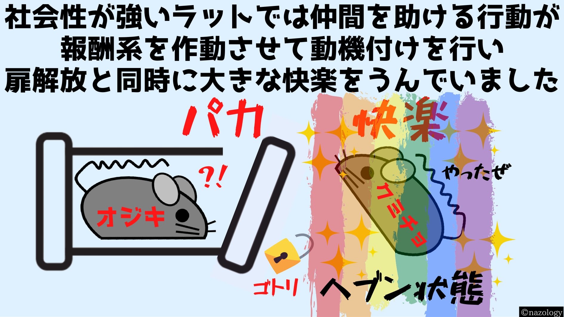 快楽の回路（報酬系）は助けようとする動機を与えるだけでなく、解放と同時に大きな快楽のご褒美を助けようとしたラットに与える