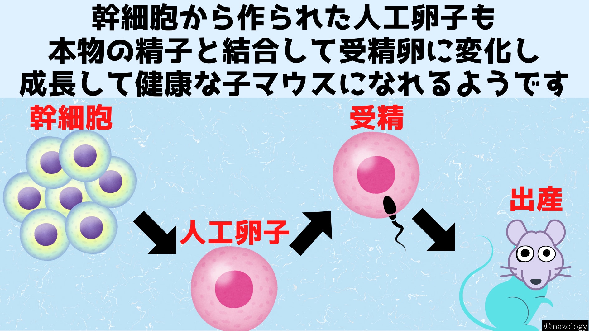 幹細胞から命の源である卵子が大量生産できれば絶滅危惧種を救えるかもしれない