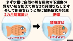 魚は覚せい剤によって中毒になり断薬によって禁断症状も発生させる