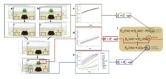 異なる情報源への感受性を測定し、それをすべて組み合わせた場合をシミュレーションした