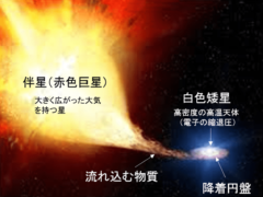 Ia型超新星の概念図