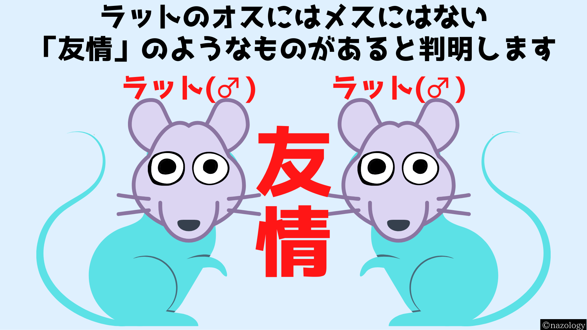 ラットのオスにはメスにはない「友情」のようなものがあると判明！