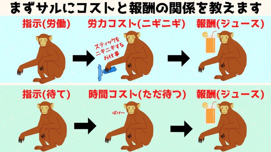 サルには労力を必要とする仕事と時間を必要とする仕事がの2種類が与えられ、完了すると報酬としてジュースがもらえた