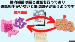 腸内細菌は脳と通話を行いながら動物の精神を支配している