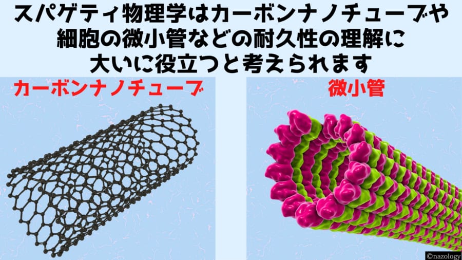 スパゲティから得られたデータは最新の材料科学や分子生物学でも活かせる